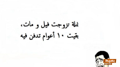 نكت سخيفة عن النمل 2024 سمجة ومضحكة 5 نكت سخيفة عن النمل 2024 سمجة ومضحكة