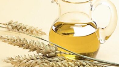 هل زيت جنين القمح يبيض البشرة أم لا؟ 2 هل زيت جنين القمح يبيض البشرة؟