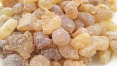 أقوى وصفات لبان الذكر للبشرة لعمل كولاجين طبيعي 5 وصفات لبان الذكر للبشرة