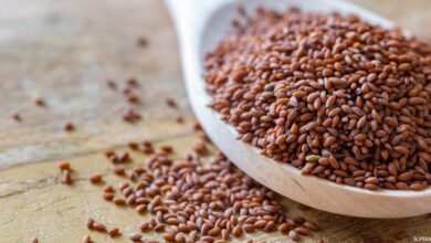 أفضل وصفات حب الرشاد للشعر وكيفية إعداد زيتون حب الرشاد للشعر 6 وصفة حب الرشاد لتطوير الشعر