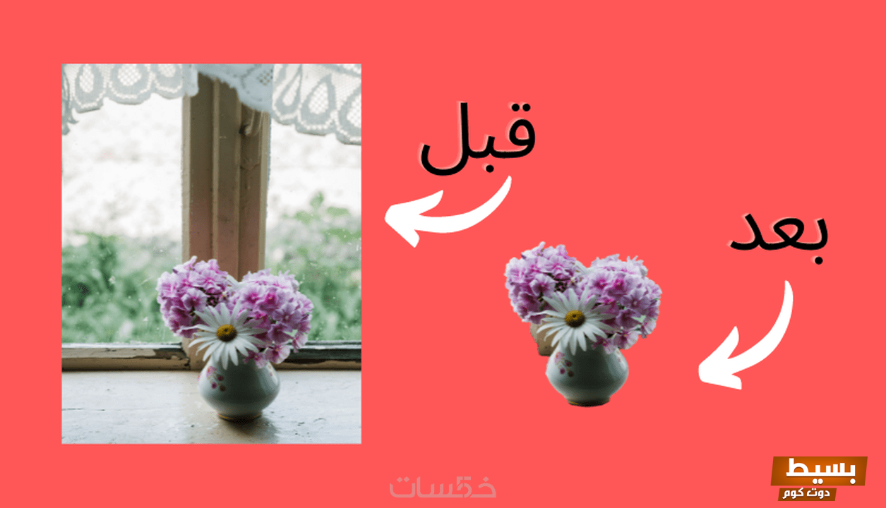 خطوات تفريغ خلفية الصورة باستخدام برنامج تحرير الصور Adobe Photoshop، GIMP، Paint.net 4 تفريغ خلفية الصورة