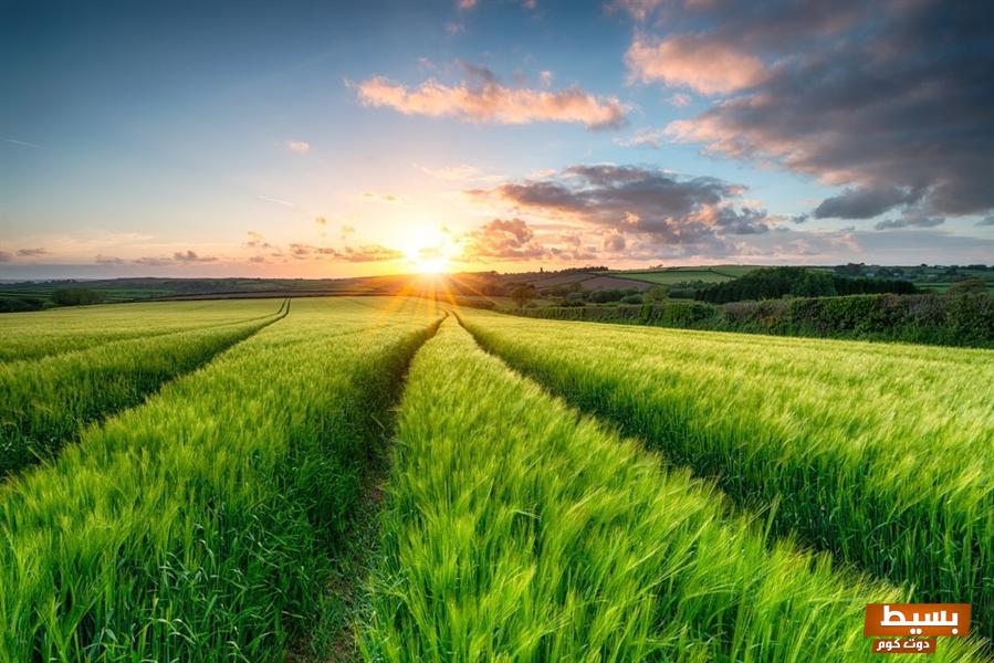 اقتراح اسماء شركات زراعية 7 اقتراح اسماء شركات زراعية