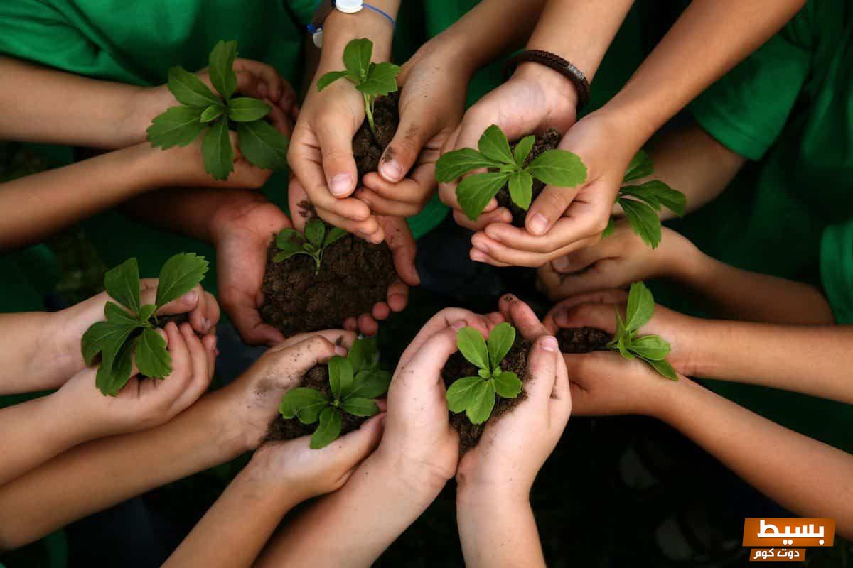 أسئلة عن البيئة وأهمية الحفاظ على نظافتها 7 أسئلة عن البيئة وأهمية الحفاظ على نظافتها