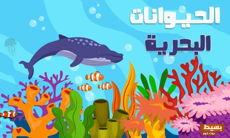اسئلة عن الحيوانات البحرية وهل تعلم 4 اسئلة عن الحيوانات البحرية