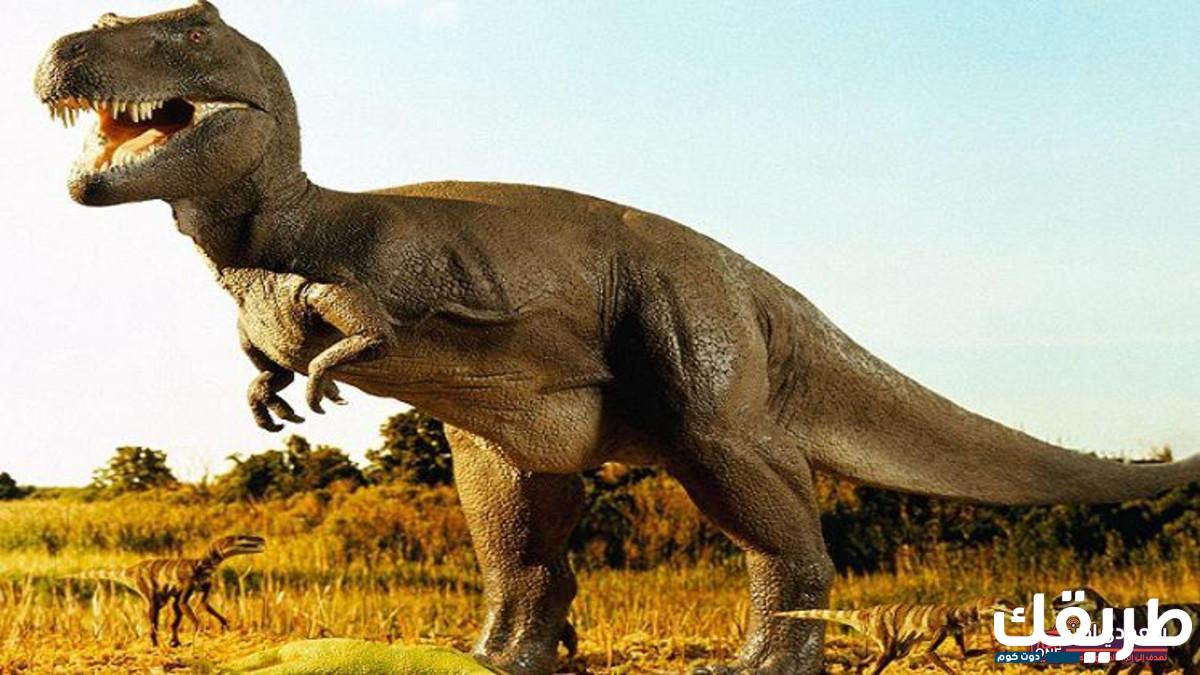 تفسير رؤية الديناصور في المنام 6 الديناصور في المنام