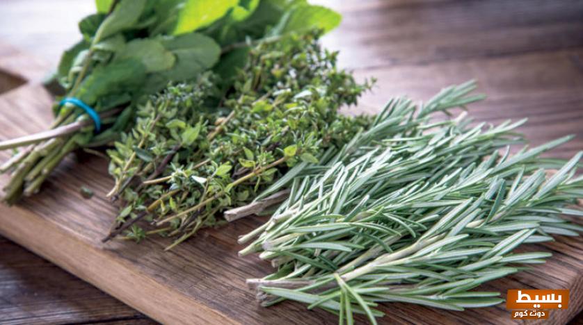 وصفة مجربة لتطويل الشعر 3 وصفة مجربة لتطويل الشعر