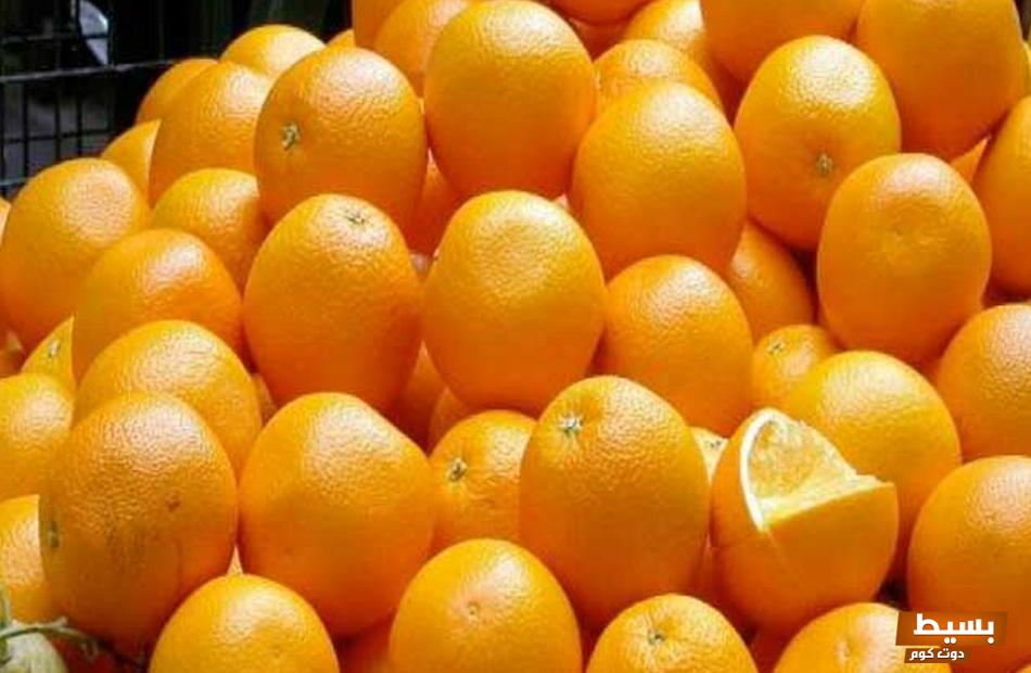 دراسة جدوى محطة تصدير برتقال 5 دراسة جدوى محطة تصدير برتقال