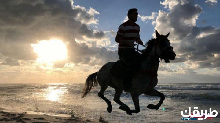 تفسير حلم الفروسية في المنام 4 الفروسية في المنام