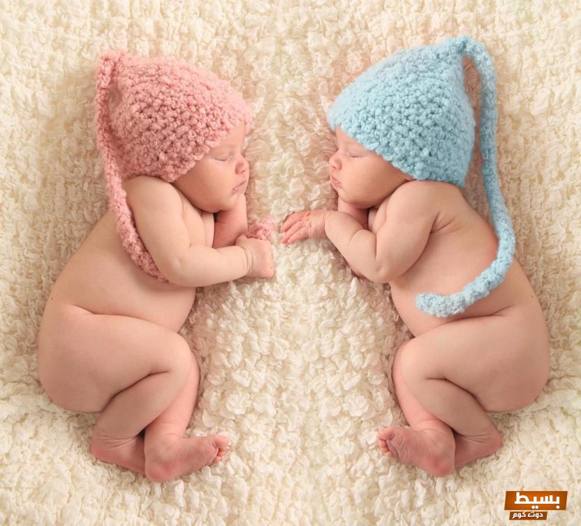 الجدول الصيني للحمل بتوأم 2024 6 الجدول الصيني 2024 للحمل بتوأم