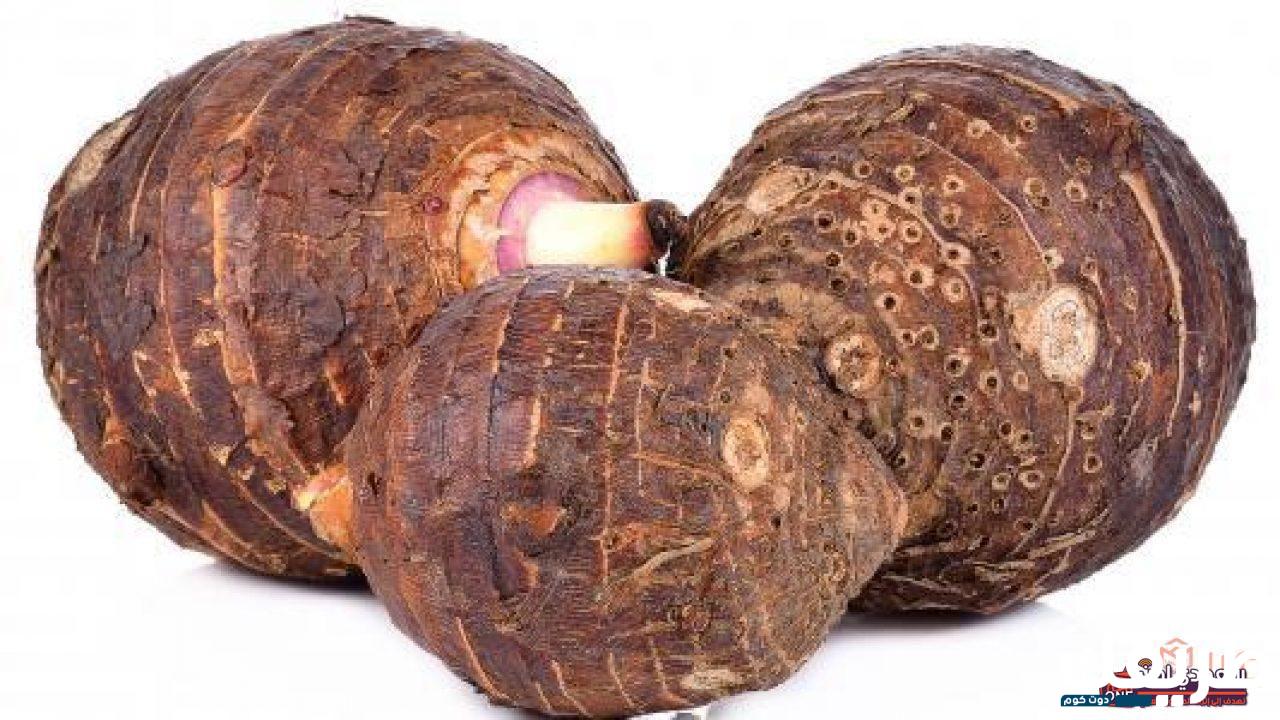 تفسير رؤية القلقاس في المنام 5 56251769657327