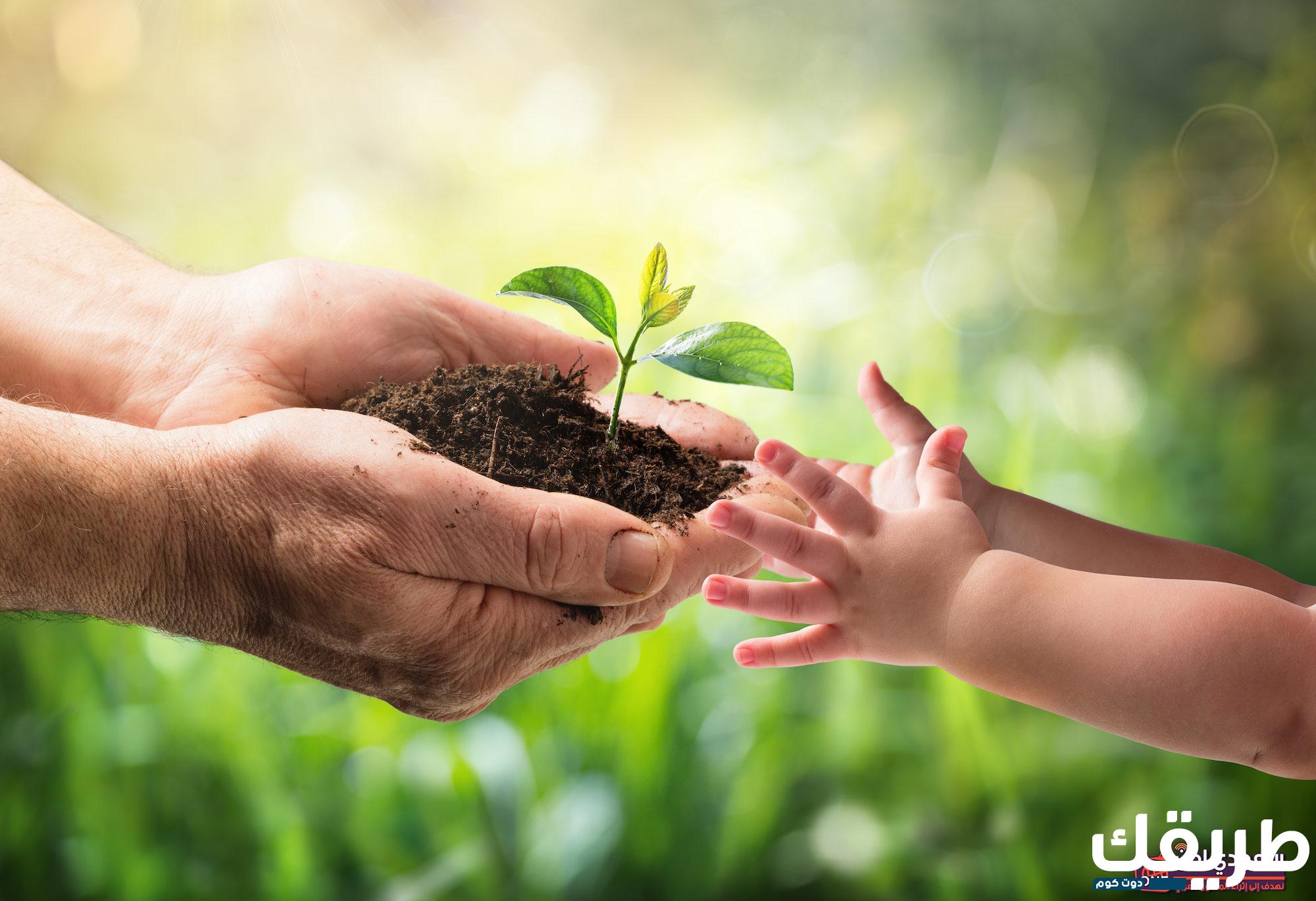 اليوم العالمي للبيئة وأهمية اليوم العالمي للبيئة 7 624825279215231