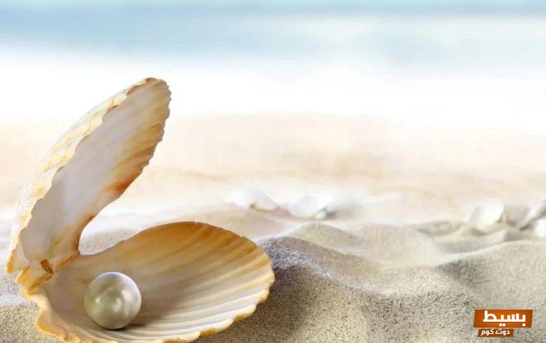 تفسير حلم رؤية اللؤلؤ في المنام للمتزوجة والمطلقة 7 اللؤلؤ في المنام