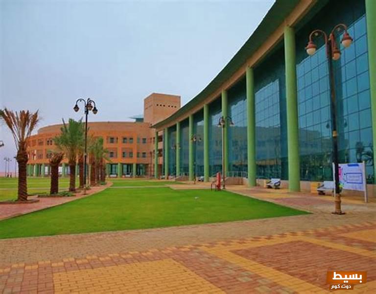 تخصصات دبلوم الجامعة السعودية الإلكترونية الشروط والرسوم 5 تخصصات دبلوم الجامعة السعودية الإلكترونية