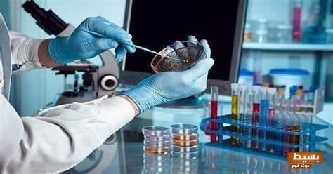 معمل ألفا سكان Alfa lab 2024 للتحاليل أرقام الفروع بعناوينها 4 معمل ألفا سكان Alfa lab 2024 للتحاليل (العناوين وأرقام الفروع)