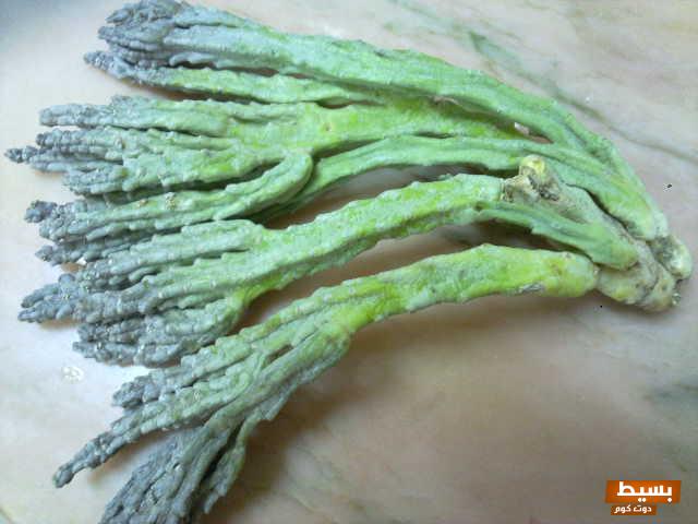 وصفة لعلاج السرطان من الشيخ ناصر الرميح 4 وصفة لعلاج السرطان من الشيخ ناصر الرميح