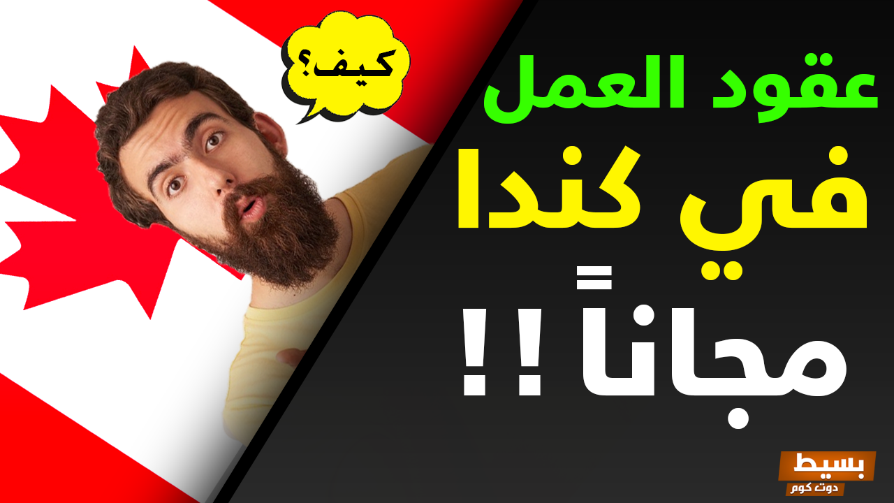 الحصول على عقد عمل في كندا 2024 وكيفية التقديم على وظائف وكالة allianceonline 6 الحصول على عقد عمل في كندا 2024