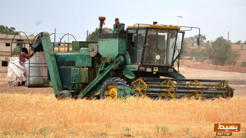 دراسة جدوى مشروع تدوير المخلفات الزراعية وأنواعها 4 دراسة جدوى مشروع تدوير المخلفات الزراعية