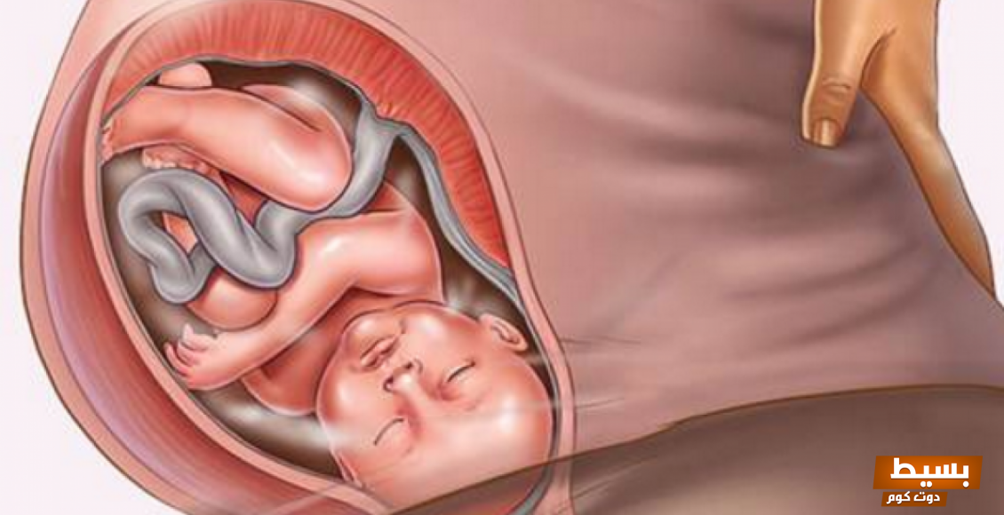 تجربتي مع الحقن المجهري علامات نجاح الحقن المجهري؟ 5 تجربتي مع الحقن المجهري بالتفصيل
