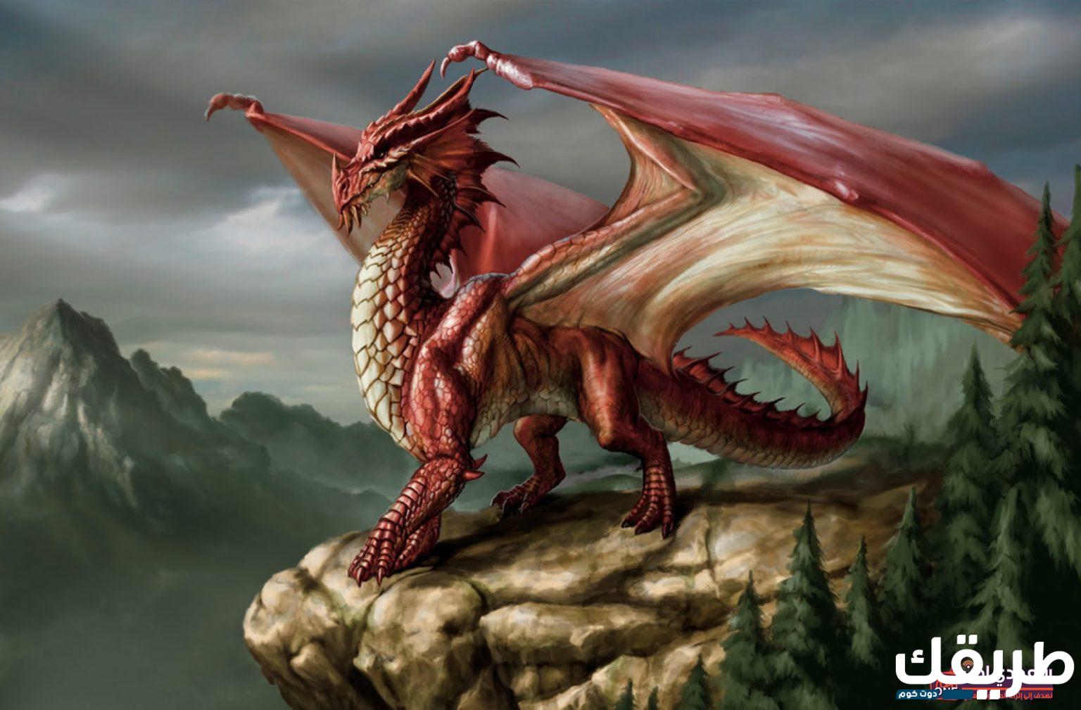 تفسير حلم التنين في المنام 3 التنين في المنام