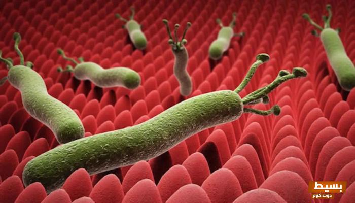 علاج جرثومة المعدة جابر القحطاني العلاج بالأعشاب 3 علاج جرثومة المعدة جابر القحطاني