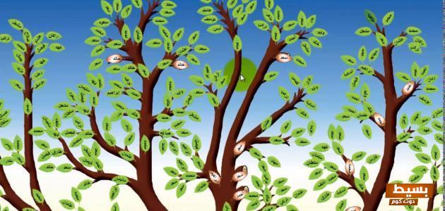 خطوات معرفة النسب عن طريق الاسم أون لاين 2024 7 خطوات معرفة النسب عن طريق الاسم أون لاين 2024