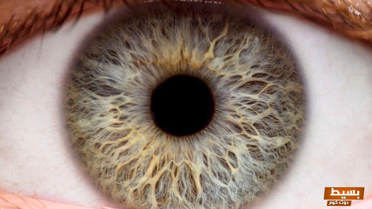 من هو النبي الذي فقد بصره 4 من هو النبي الذي فقد بصره