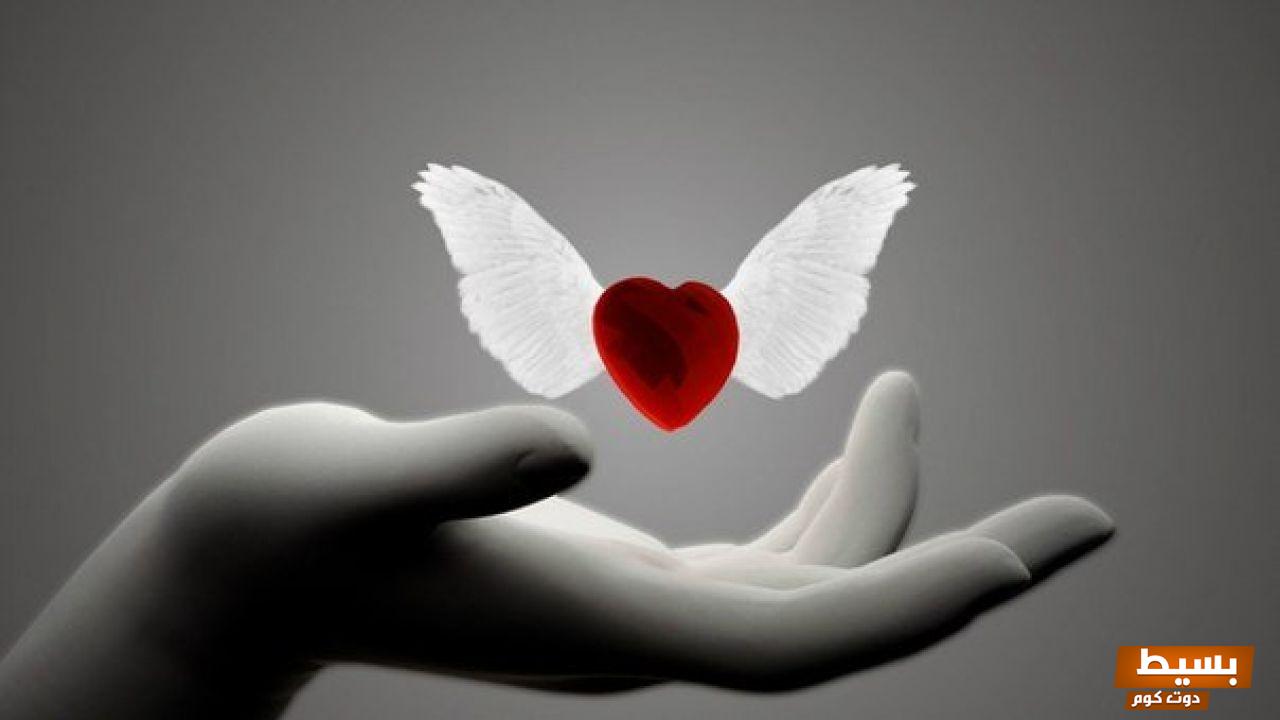 إذا أحد قالي أحبك وأنا أكرهه وش أرد 5 إذا أحد قالي أحبك وأنا أكرهه وش أرد