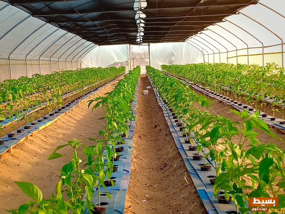 مشروع بحث للمدارس الثانوية الزراعية كامل 8 عمل مشروع بحث للمدارس الثانوية الزراعية كامل