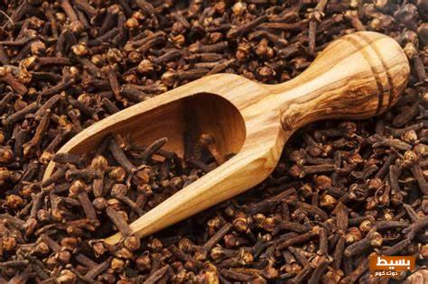 تفسير حلم القرنفل في المنام 7 القرنفل في المنام