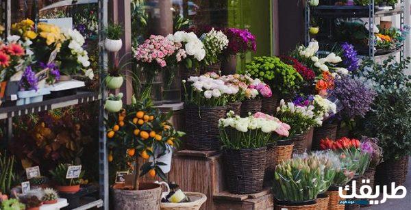 اقرب محل ورد من موقعي الحالي في السعودية 1445 3 اقرب محل ورد من موقعي الحالي في السعودية