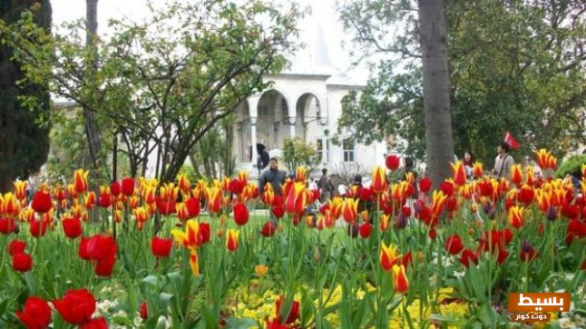 تفسير حلم البستان في المنام 3 البستان في المنام