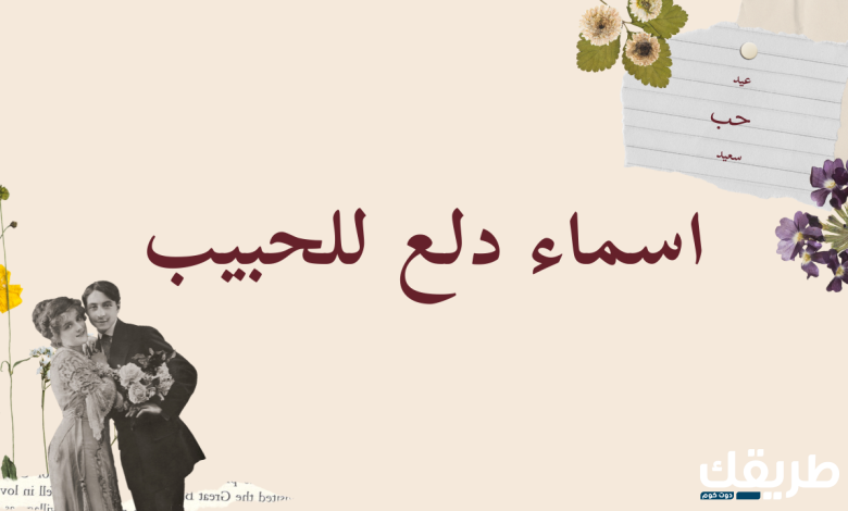 اسماء دلع للحبيب مضحكة 2024 اسماء دلع مزخرفه ولطيفة 8 اسماء دلع للحبيب مضحكة