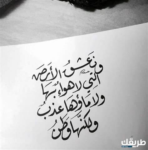 عبارات مزخرفة جميلة للسيرة الذاتية 2024 5 عبارات مزخرفة جميلة للسيرة الذاتية 2024