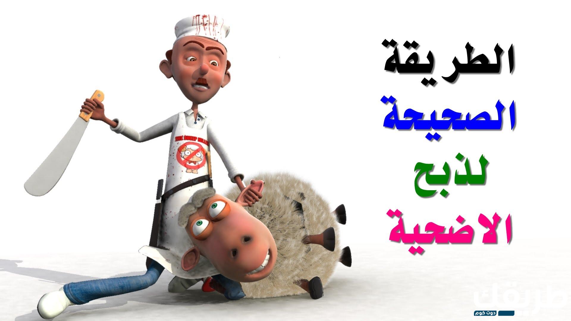 كيفية ذبح اضحية العيد بالطريقة الشرعية 1 كيفية ذبح اضحية العيد بالطريقة الشرعية