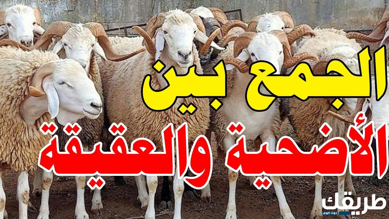 هل يجوز الجمع بين الأضحية والعقيقة