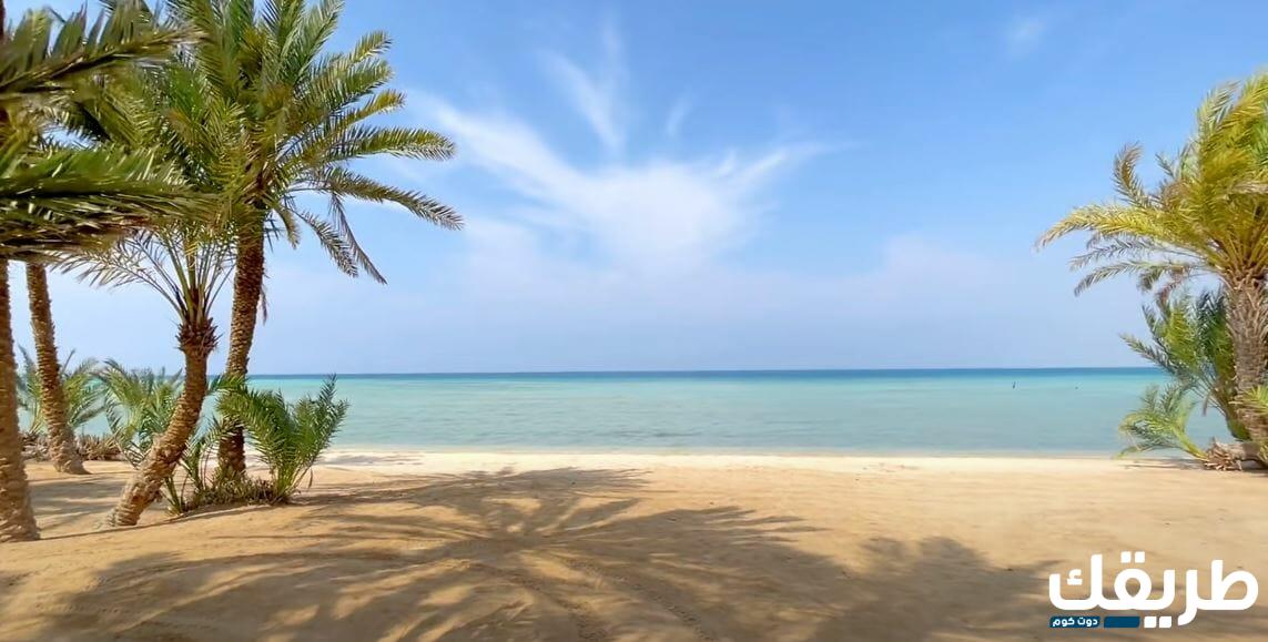 اجمل الاماكن السياحية في املج السعودية 2 اجمل الاماكن السياحية في املج السعودية