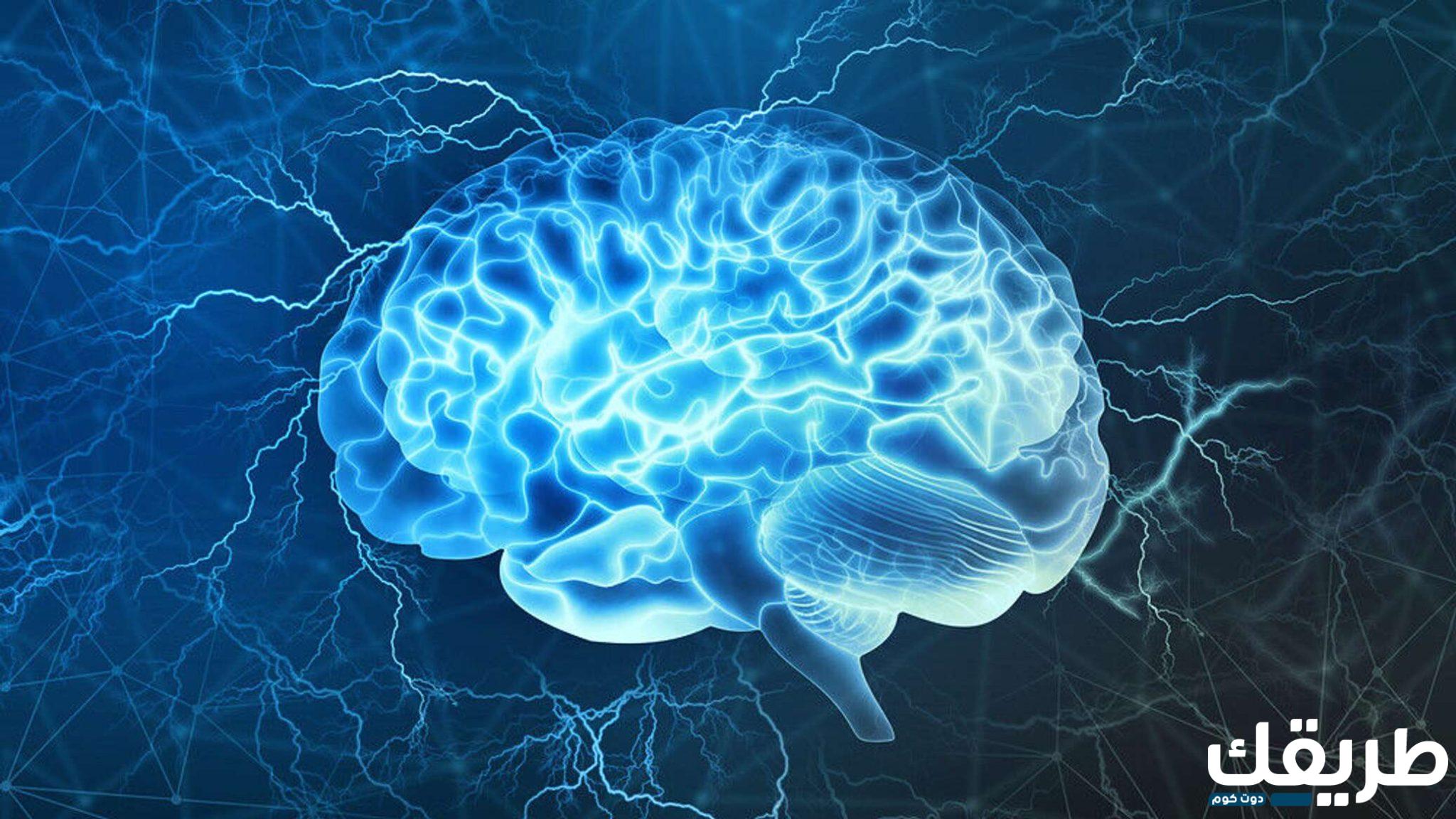 تجربتي مع اركاليون فورت 400 لتحسين الذاكرة 5 108084746984285