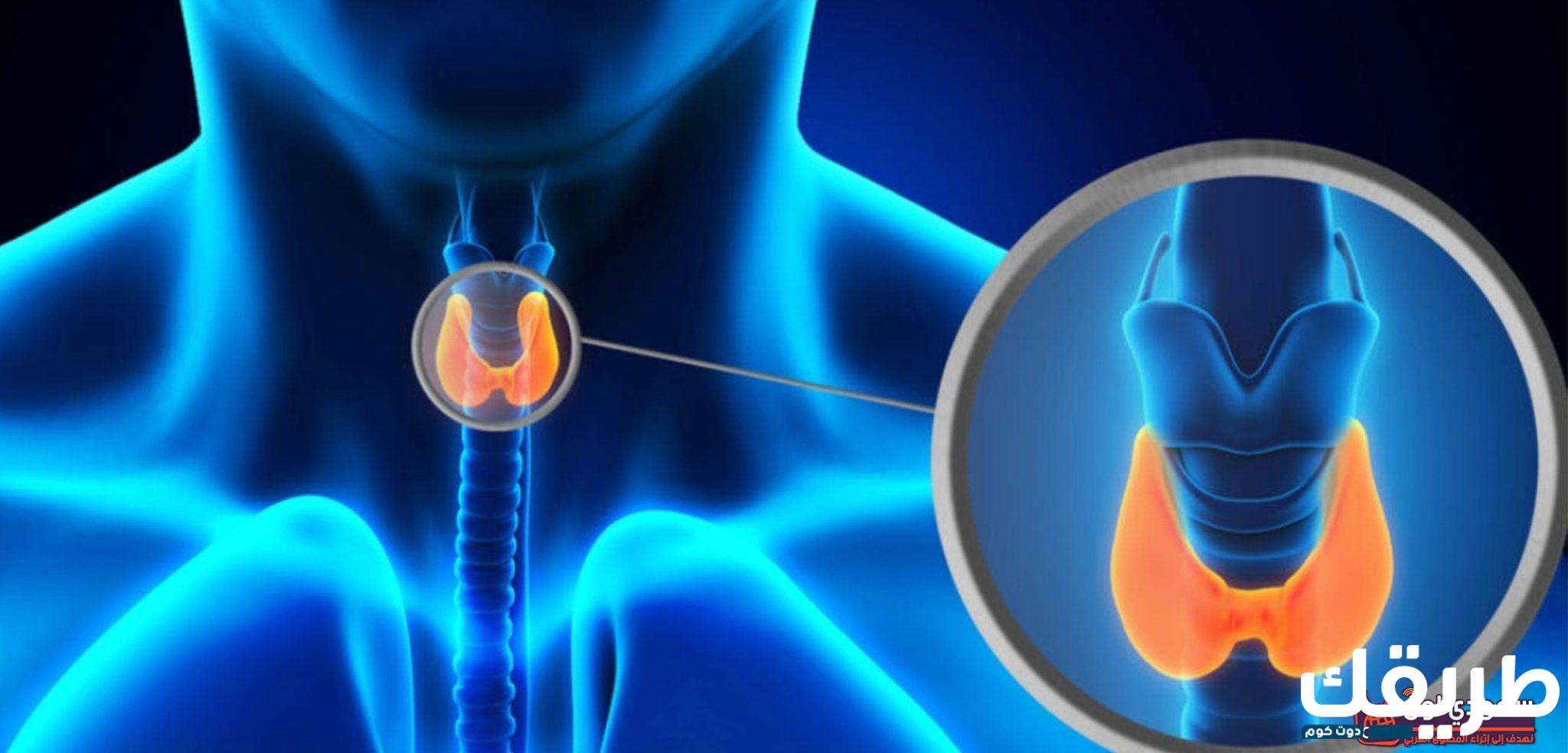 تجربتي مع عقد الغدة الدرقية وطرق علاجها 5 13850276411930