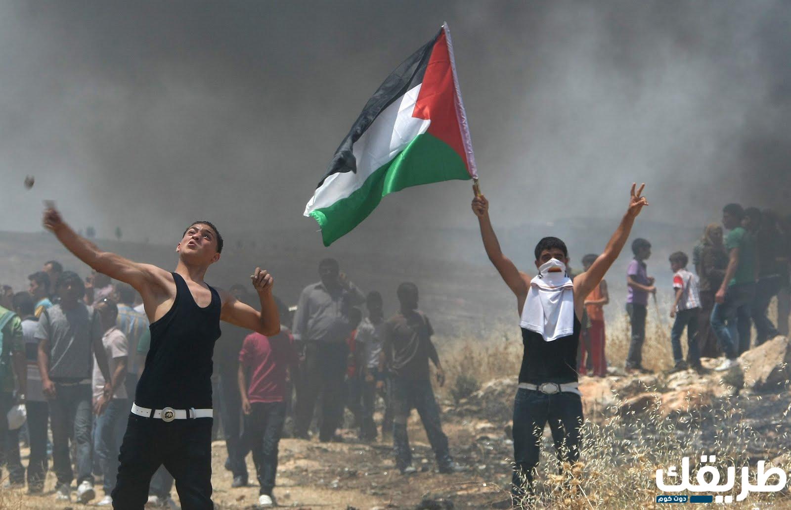 عبارات عن يوم الطفل الفلسطيني 4 148570899725922