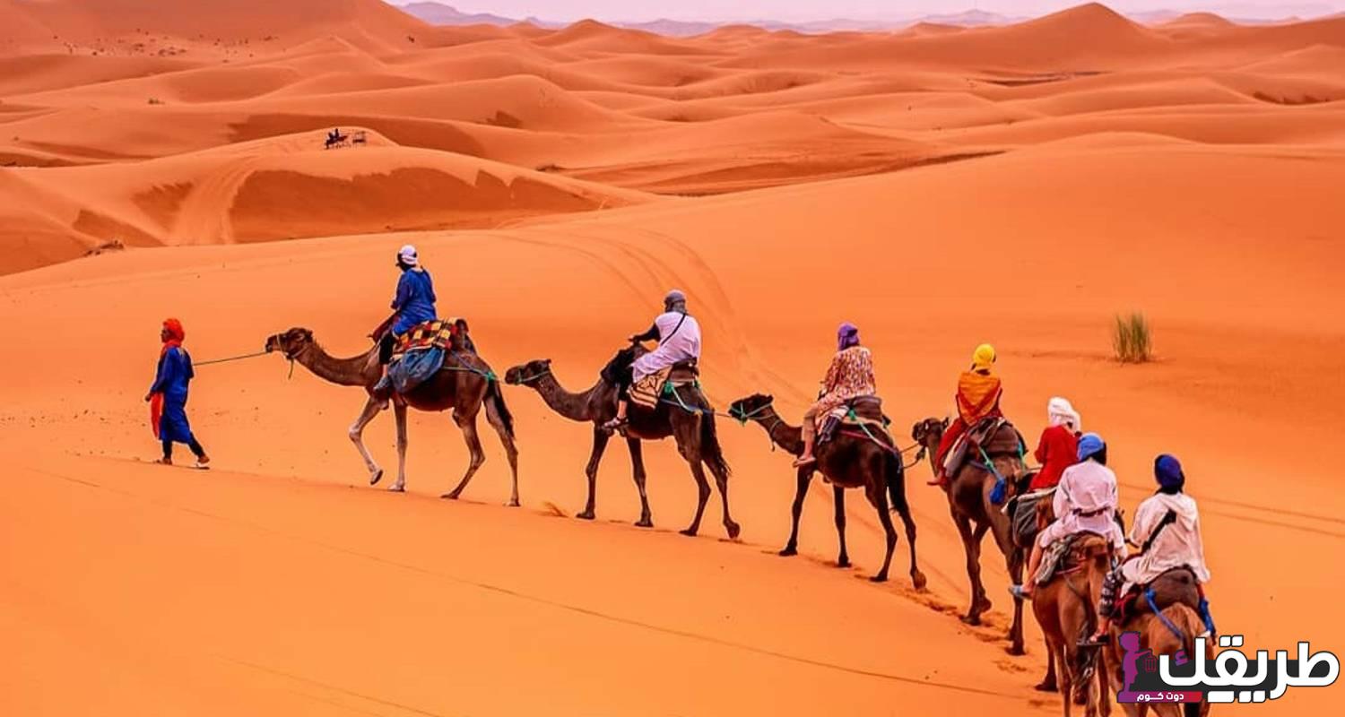 الخماش وش يرجع وأبرز الشخصيات في العائلة 6 171305 e982c08d