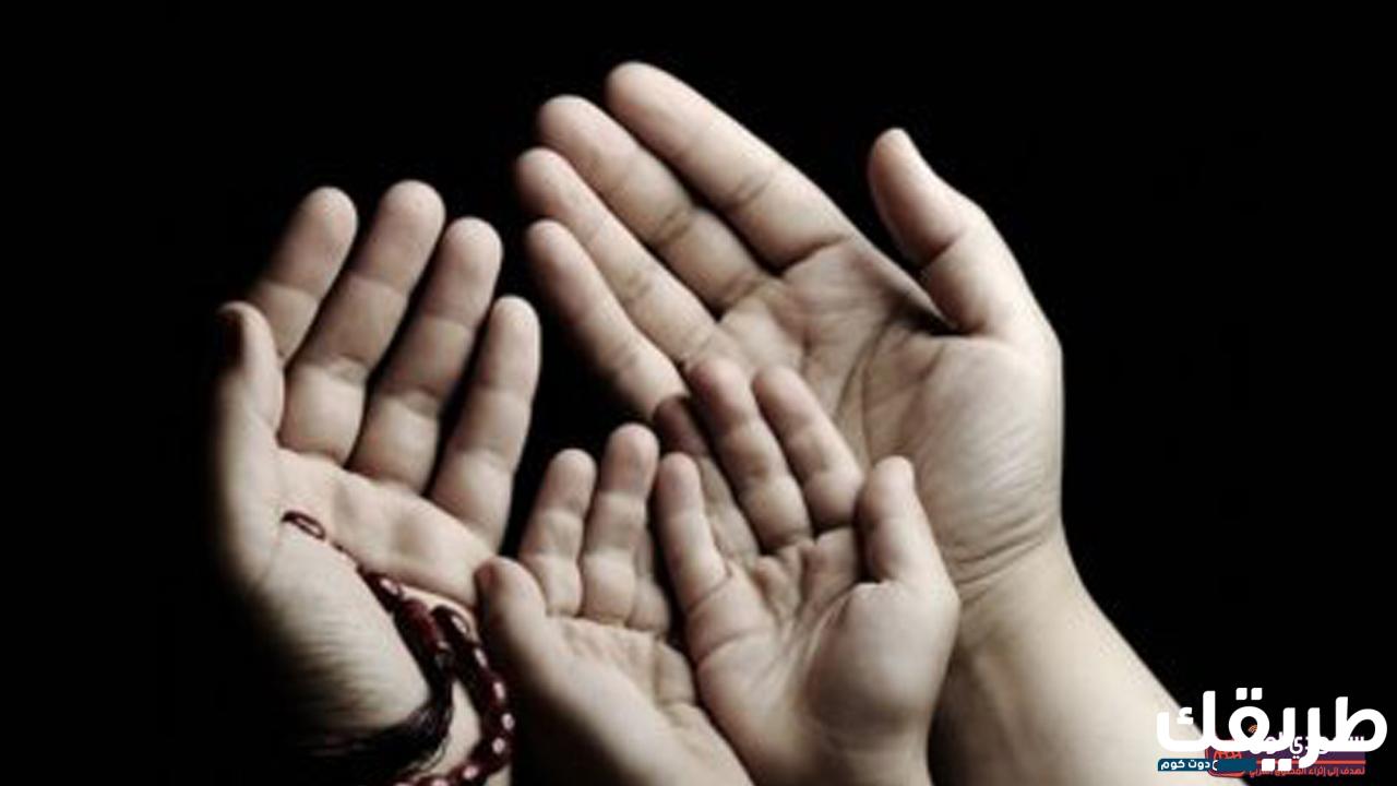 كم عدد مذاهب المسلمين وأسباب الاختلاف بين مذاهب المسلمين 6 172400052578385