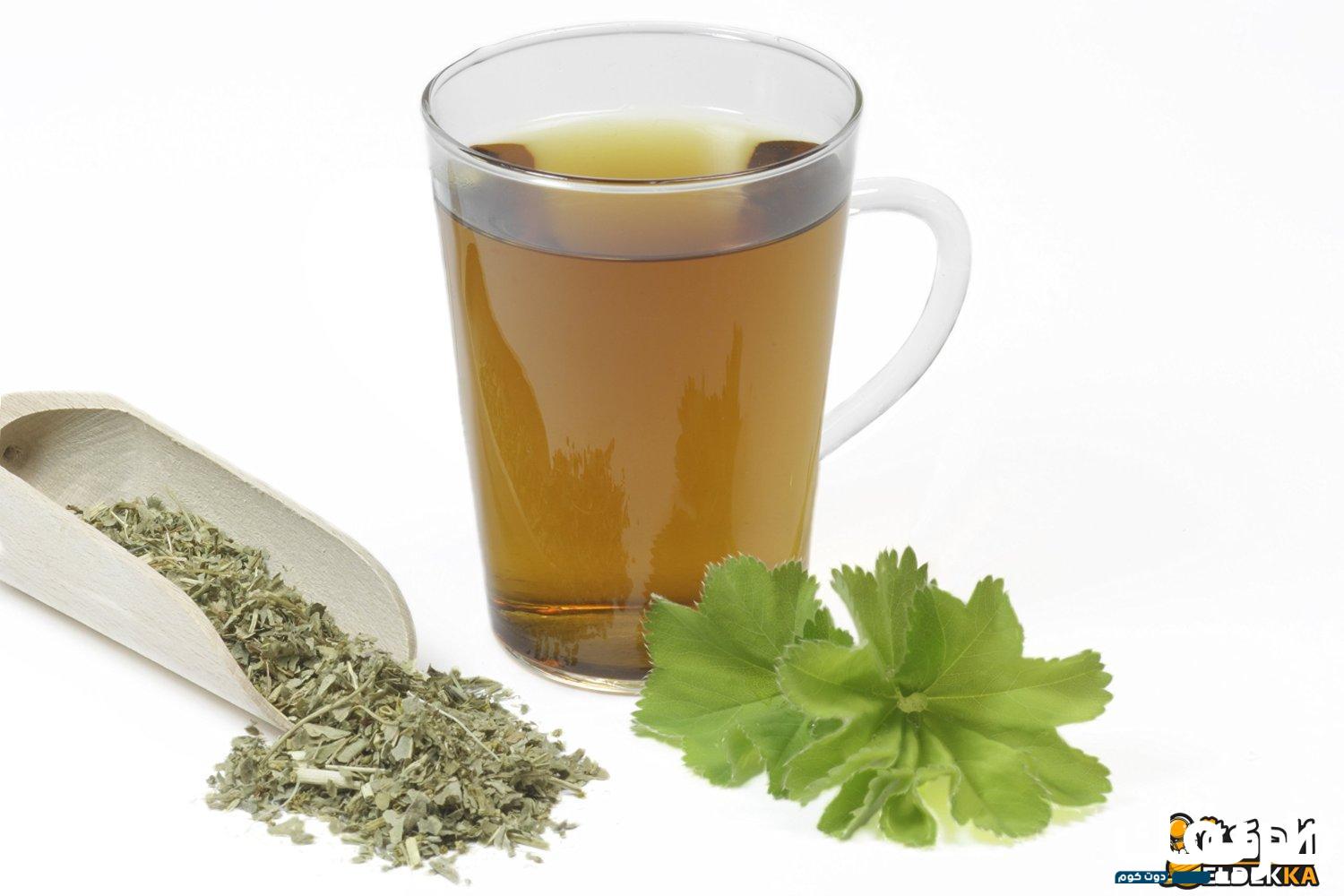 تجربتي مع عشبة عباءة السيدة للحمل وتضييق المهبل 2 174033507546677