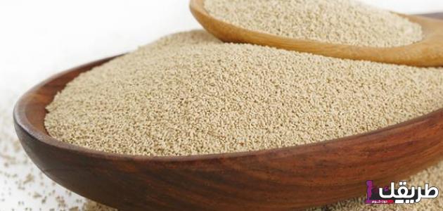 أفضل 6 وصفات من خلال تجربتي مع خميرة البيرة لزيادة الوزن 4 2 44