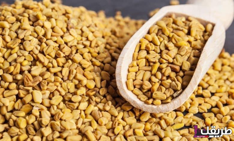 تجربتي مع منقوع الحلبة للتسمين والحصول على جسم رشيق 6 2 90