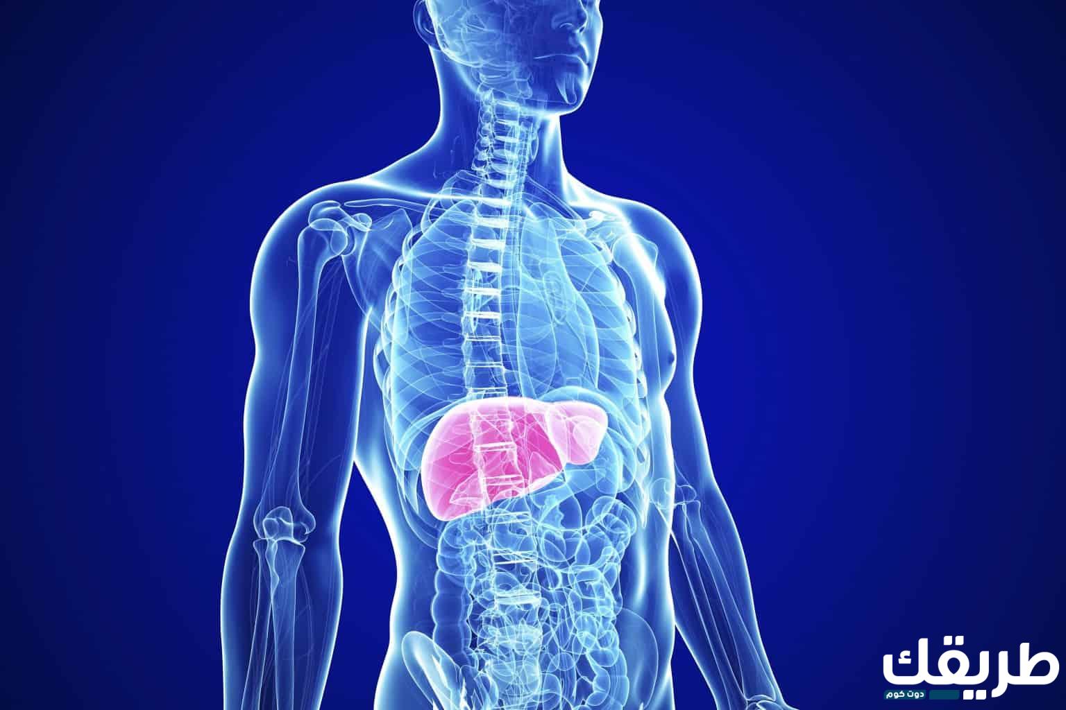 تجربتي الخاصة للتخلص من سموم الكبد 1 239509962835868