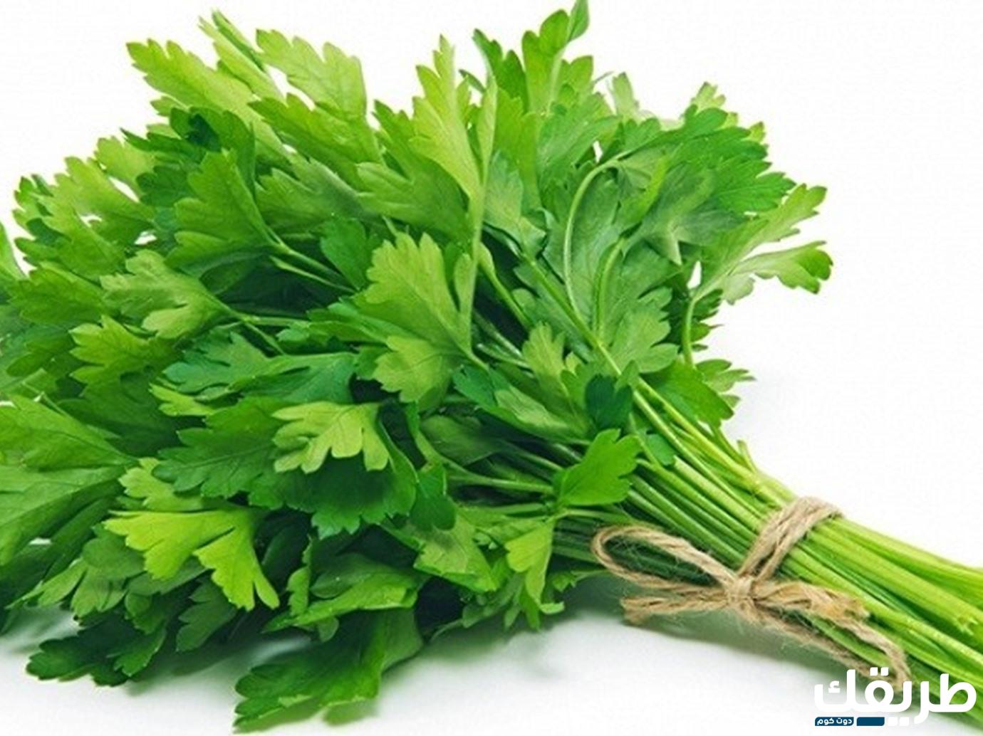 فوائد عظيمة لا يمكن تخيلها في تجربتي مع الماش للعظام 5 257930319606798