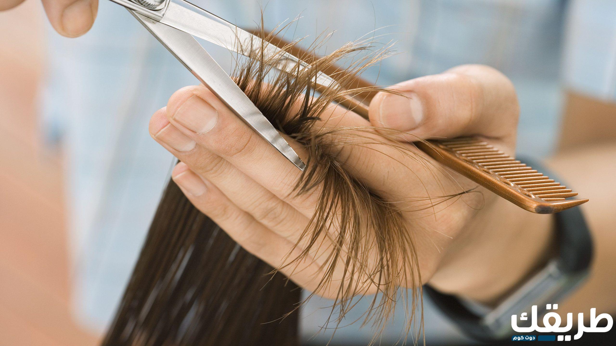 تفسير حلم قص الشعر للبنت العزباء بالتفصيل 3 26003176137686