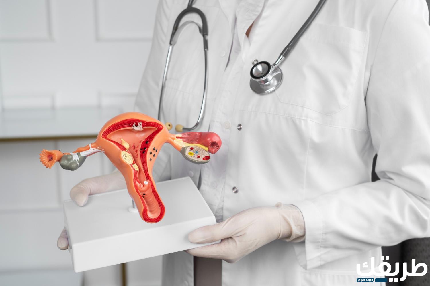 هل ينزل دم الحامل في موعد الدورة ومتى يجب استشارة الطبيب؟ 2 32389002542048