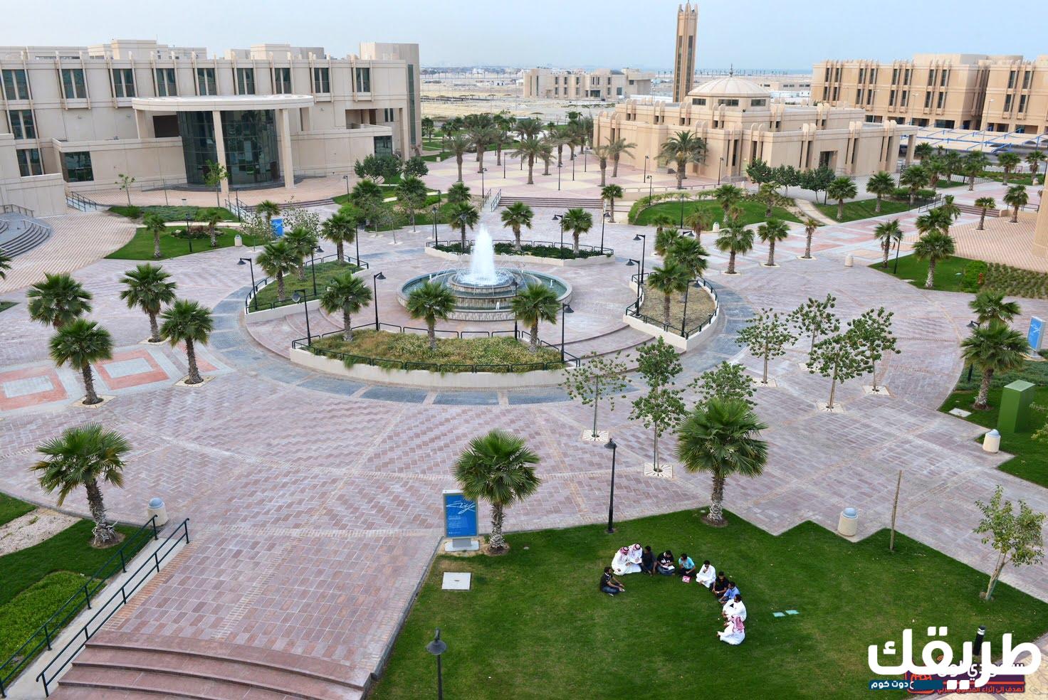 تجربتي في جامعة الإمام عبد الرحمن بن فيصل 1445 7 324835710188868