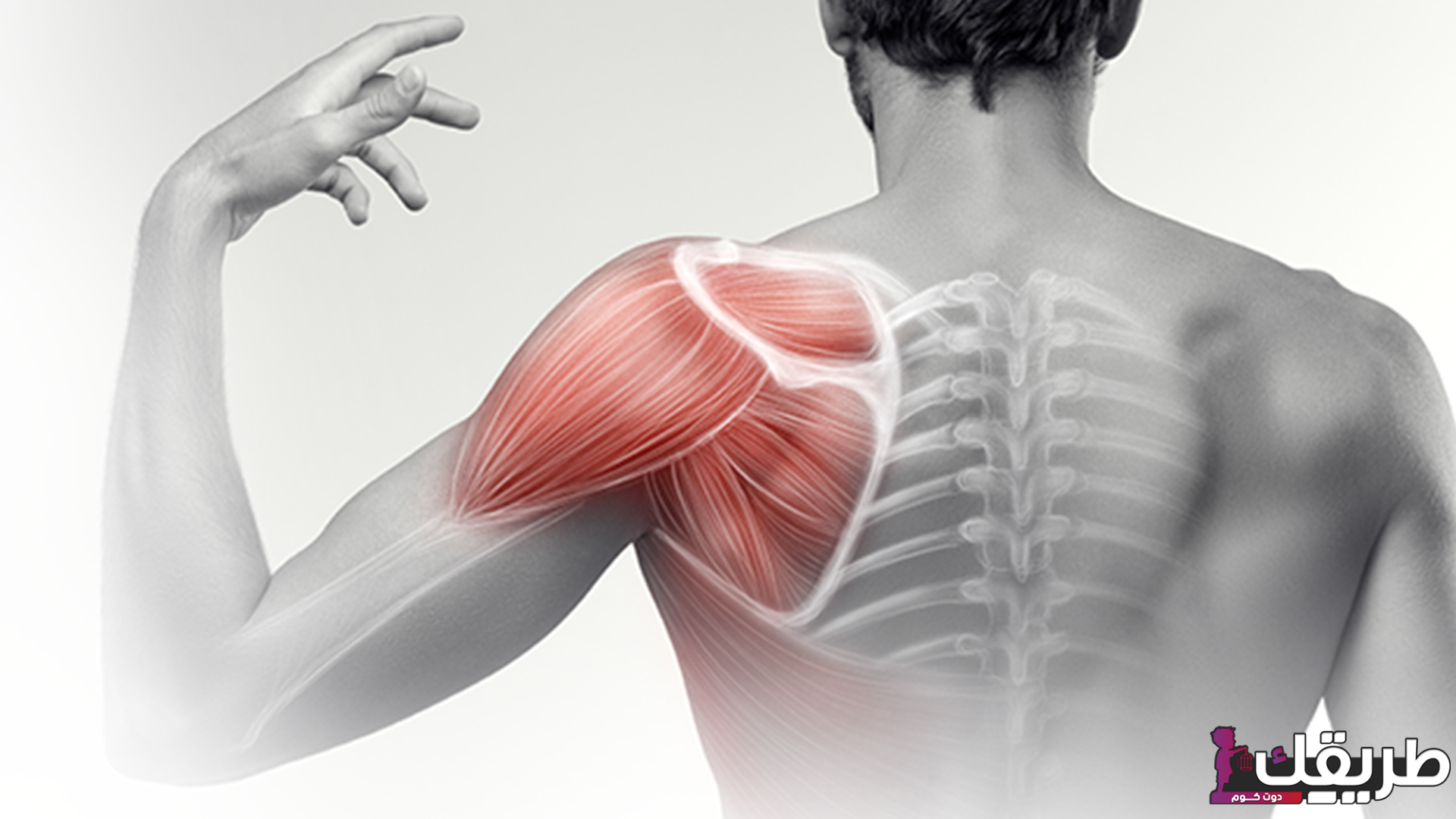 ألم في الكتف الأيسر من الخلف والأمام تعرفي دلالته وطرق علاجه 7 367044374613833